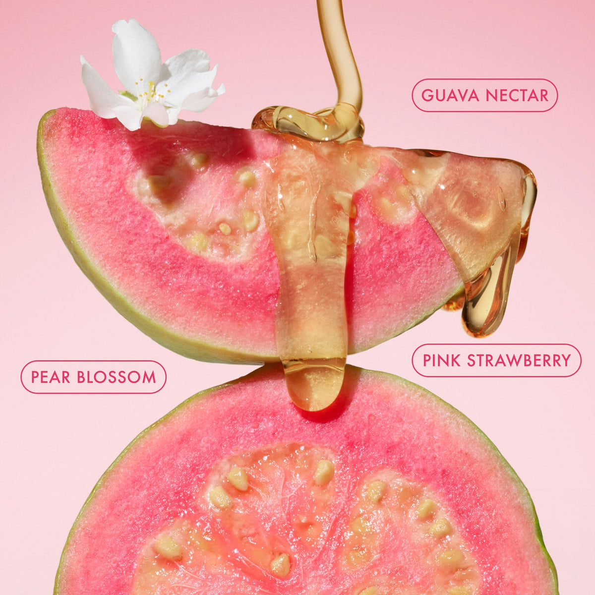 mini-body-butter-trio-o1 BodyButterBalmPinkGuava_3.jpg