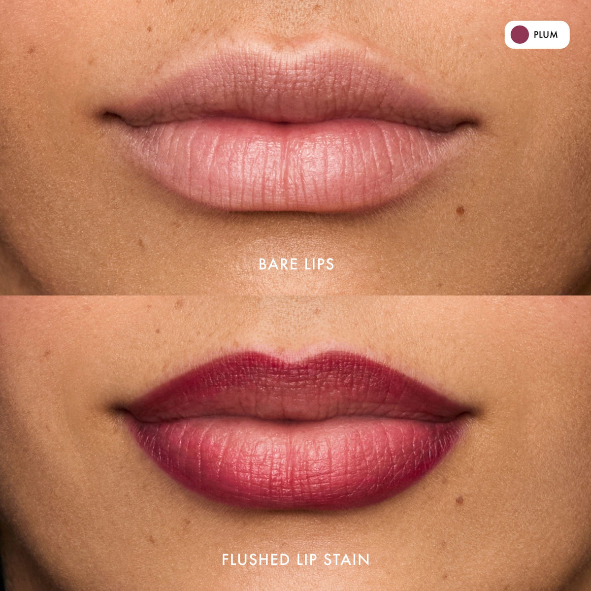 flushed-lip-stain-plum-q5 FlushedLipStain_Plum_B_A.jpg