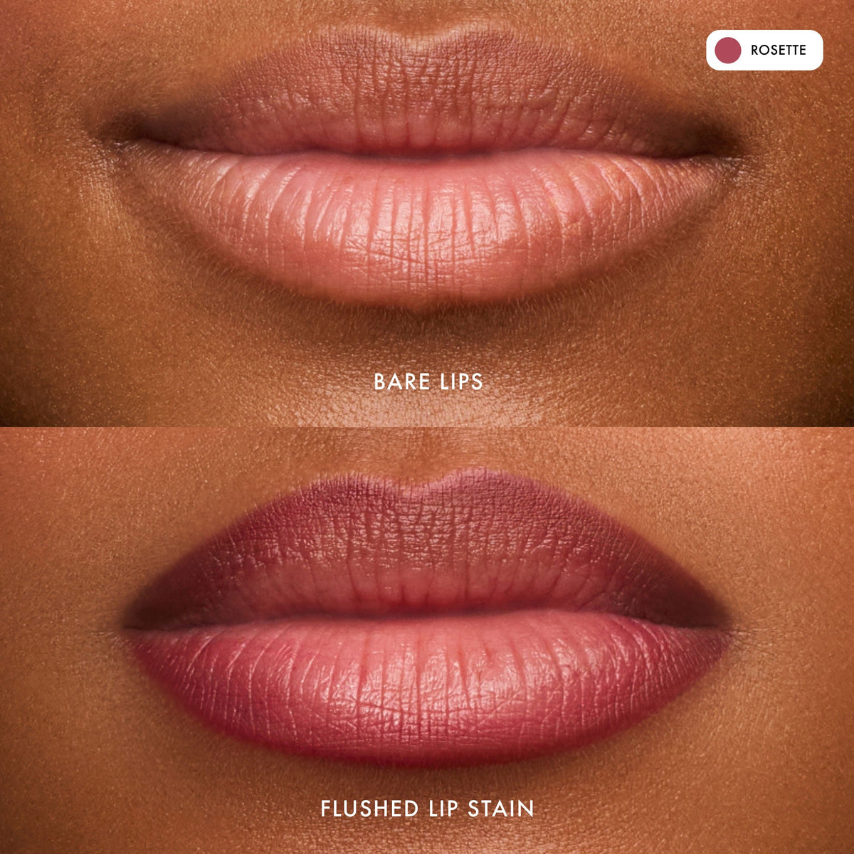 flushed-lip-stain-rosette-m5 FlushedLipStain_Rosette_B_A.jpg