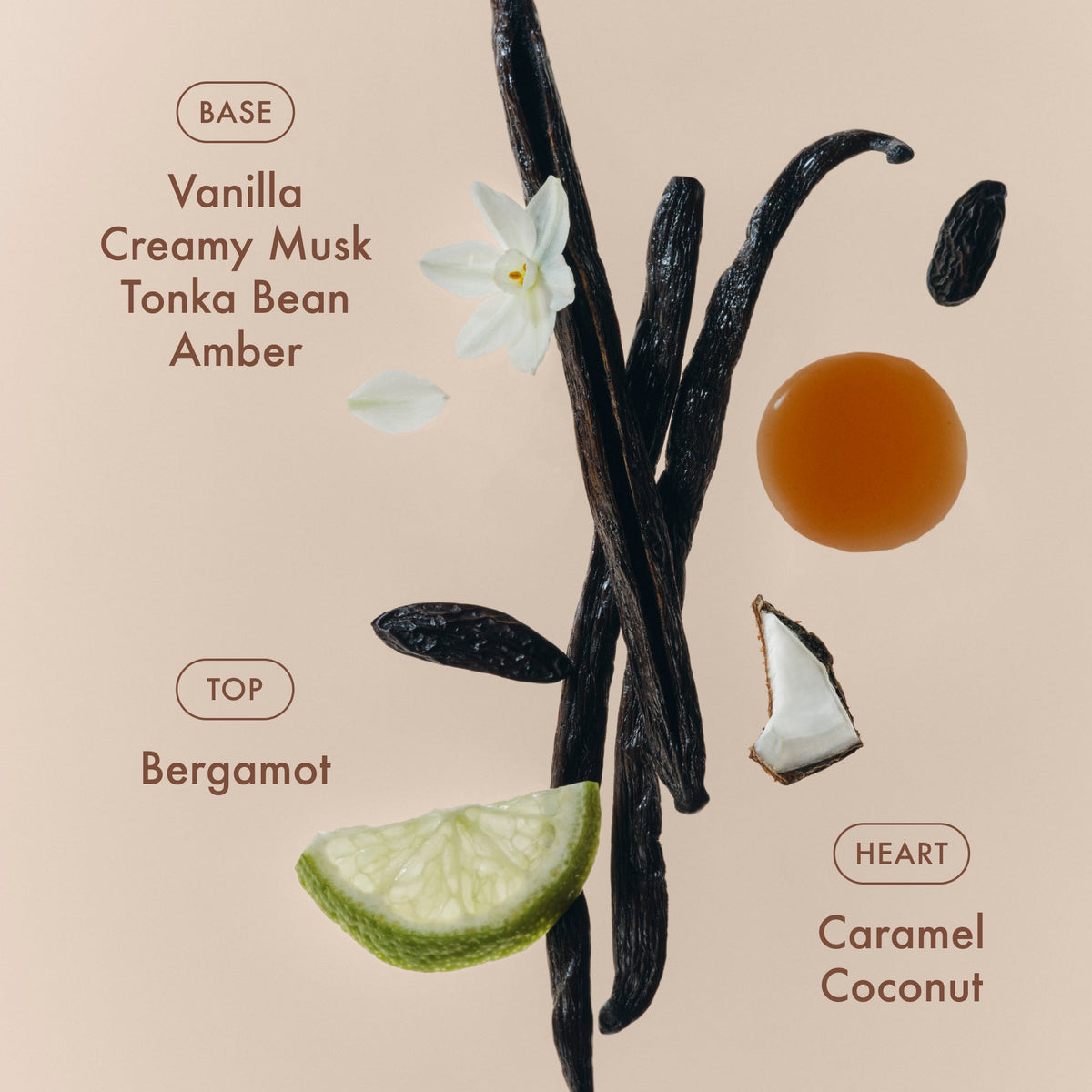 sunlit-vanillatm-eau-de-parfum-z3 SunlitVanilla_4.jpg